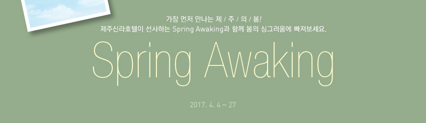 Spring Awaking(하단 내용 참조)