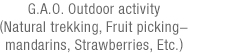 G.A.O. Outdoor activity(Natural trekking, Fruit pinking-mandarins, Strawberries, Etc.)