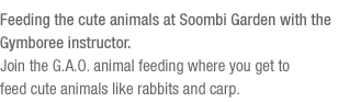 Feeding the cute animals at Soombi Garden with the Gymboree instructor.(See the bottom of the content)