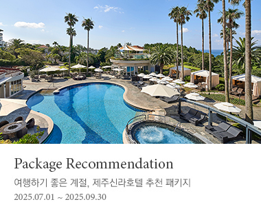 Package Recommendation 