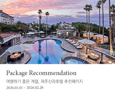 Package Recommendation