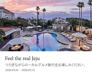 つろぎながらローカルグルメ旅行をお楽しみください