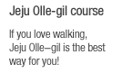 If you love walking,Jeju Olle-gil is the best way for you!