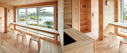 Adult Pool Finnish Sauna image