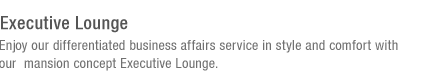 Executive Lounge explanation(under reference)