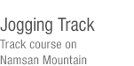 Jogging Track-Track course on Namsan Mountain