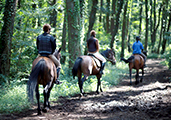 Horseback Riding 