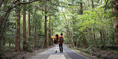 Natural Trekking