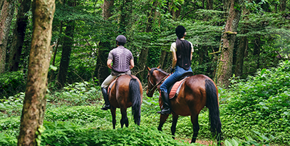 Horseback Riding 
