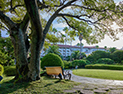 <p>Blessed natural environment and culture units in Soombi Garden</p>