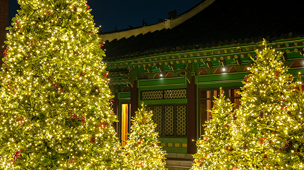 2025 Year-end Festivity