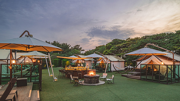 Glamping Bar