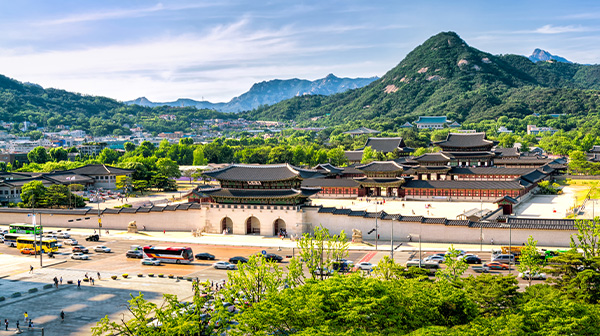 Discover Seoul Like a Local