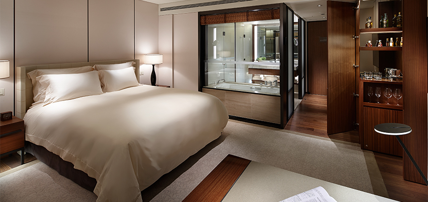 Singapore Airlines Kris+ Member Package