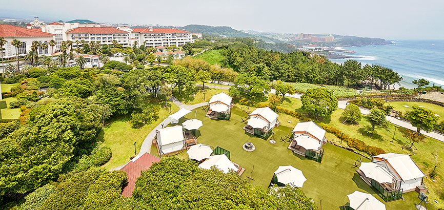 Family Green Camping